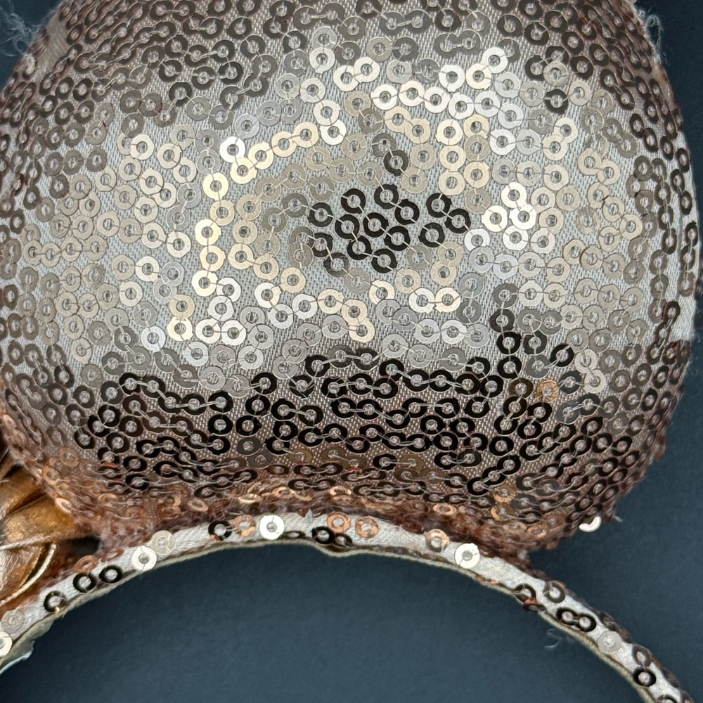 Disney Parks Minnie Mouse Ears Set - Picture 9 of 13